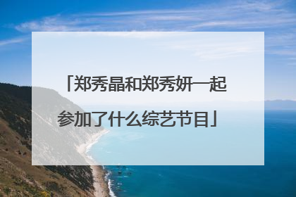 郑秀晶和郑秀妍一起参加了什么综艺节目