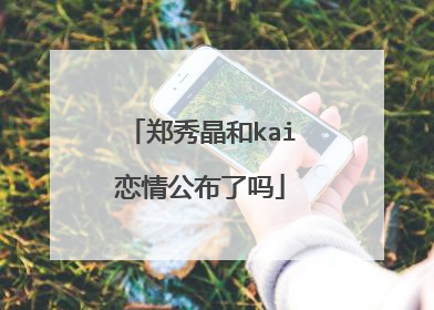 郑秀晶和kai恋情公布了吗