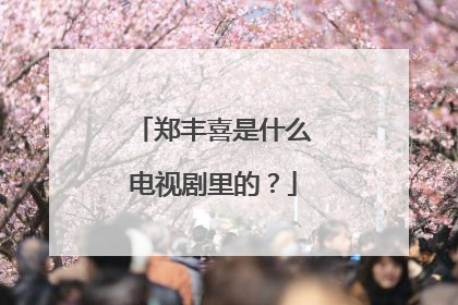 郑丰喜是什么电视剧里的?