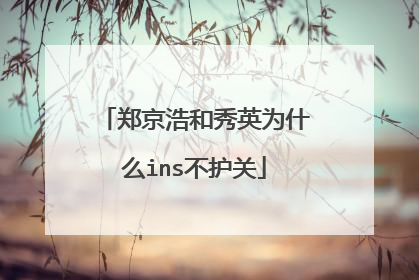 郑京浩和秀英为什么ins不护关