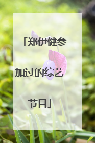 郑伊健参加过的综艺节目