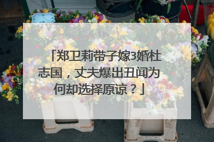 郑卫莉带子嫁3婚杜志国，丈夫爆出丑闻为何却选择原谅？