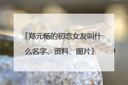 郑元畅的初恋女友叫什么名字、资料、图片