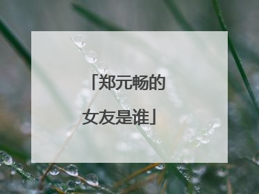 郑元畅的女友是谁
