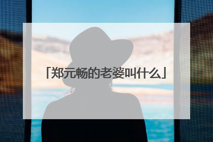 郑元畅的老婆叫什么