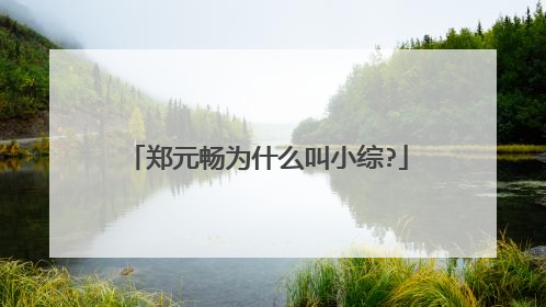 郑元畅为什么叫小综?