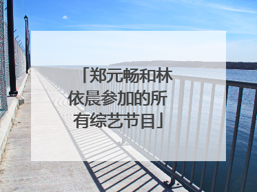 郑元畅和林依晨参加的所有综艺节目