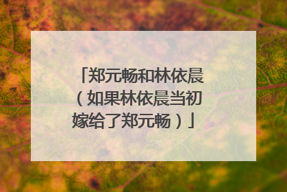 郑元畅和林依晨（如果林依晨当初嫁给了郑元畅）