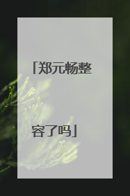 郑元畅整容了吗