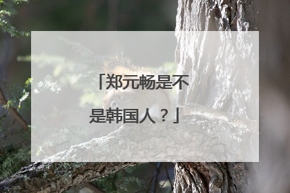 郑元畅是不是韩国人？