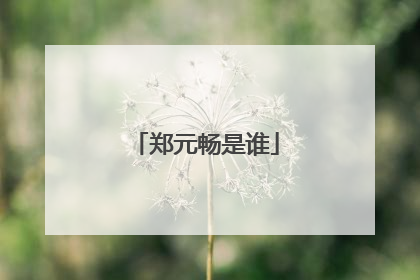 郑元畅是谁