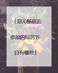 郑元畅最近参加的综艺节目有哪些