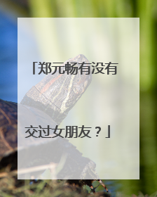 郑元畅有没有交过女朋友？