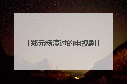 郑元畅演过的电视剧