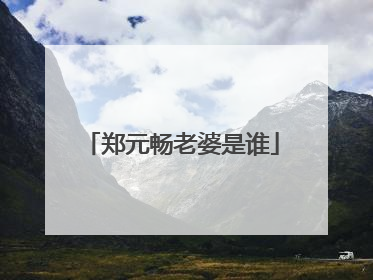 郑元畅老婆是谁