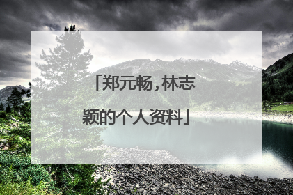 郑元畅,林志颖的个人资料