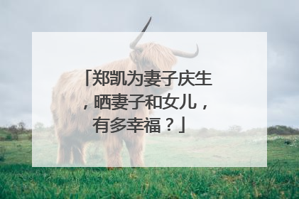 郑凯为妻子庆生,晒妻子和女儿,有多幸福?