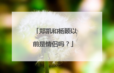 郑凯和杨颖以前是情侣吗？