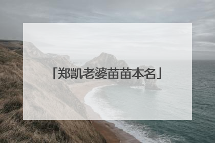 郑凯老婆苗苗本名