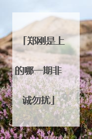 郑刚是上的哪一期非诚勿扰