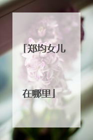 郑均女儿在哪里