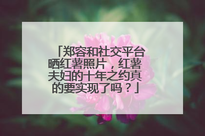 郑容和社交平台晒红薯照片,红薯夫妇的十年之约真的要实现了吗?