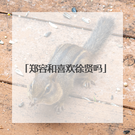 郑容和喜欢徐贤吗