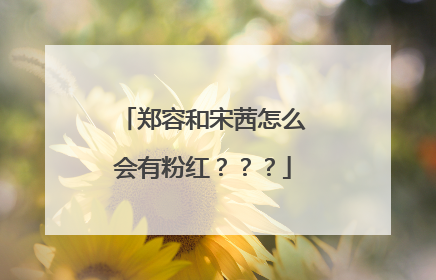郑容和宋茜怎么会有粉红？？？