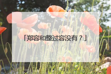 郑容和整过容没有?