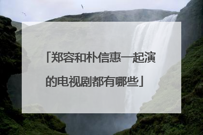 郑容和朴信惠一起演的电视剧都有哪些