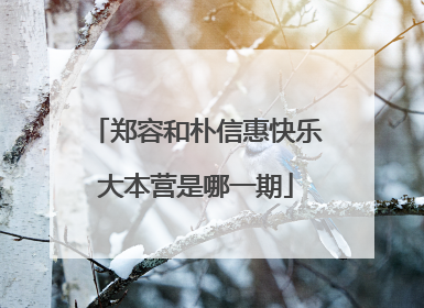 郑容和朴信惠快乐大本营是哪一期