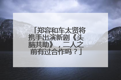 郑容和车太贤将携手出演新剧《头脑共助》，二人之前有过合作吗？