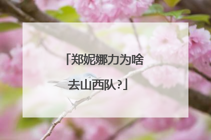 郑妮娜力为啥去山西队?