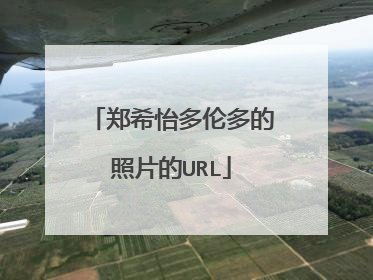 郑希怡多伦多的照片的URL