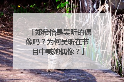 郑希怡是吴昕的偶像吗？为何吴昕在节目中喊她偶像？