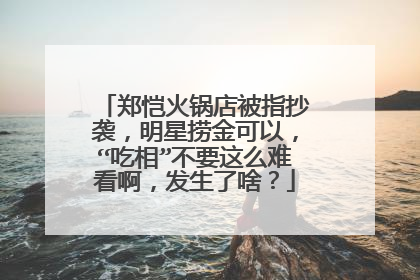 郑恺火锅店被指抄袭，明星捞金可以，“吃相”不要这么难看啊，发生了啥？