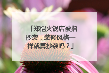 郑恺火锅店被指抄袭,装修风格一样就算抄袭吗?