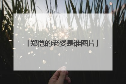 郑恺的老婆是谁图片