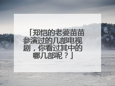 郑恺的老婆苗苗参演过的几部电视剧，你看过其中的哪几部呢？