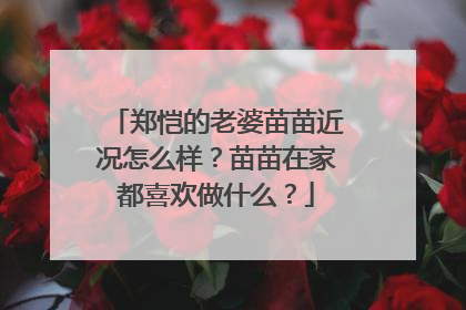 郑恺的老婆苗苗近况怎么样？苗苗在家都喜欢做什么？