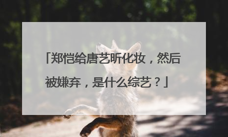 郑恺给唐艺昕化妆，然后被嫌弃，是什么综艺？