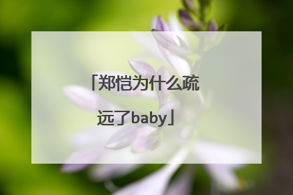 郑恺为什么疏远了baby