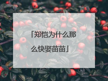 郑恺为什么那么快娶苗苗