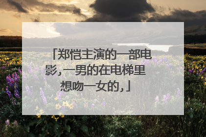 郑恺主演的一部电影,一男的在电梯里想吻一女的,