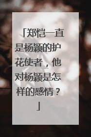郑恺一直是杨颖的护花使者,他对杨颖是怎样的感情?
