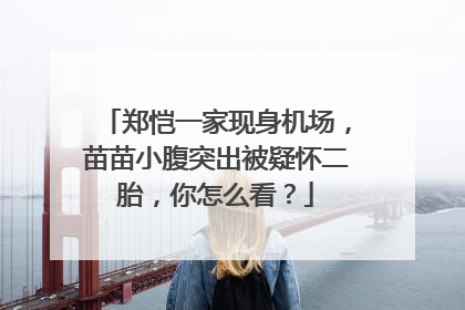 郑恺一家现身机场,苗苗小腹突出被疑怀二胎,你怎么看?