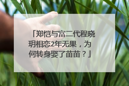 郑恺与富二代程晓玥相恋2年无果，为何转身娶了苗苗？
