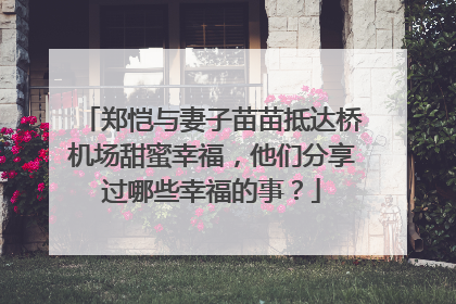 郑恺与妻子苗苗抵达桥机场甜蜜幸福,他们分享过哪些幸福的事?