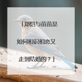 郑恺与苗苗是如何相识相恋又走到结婚的？