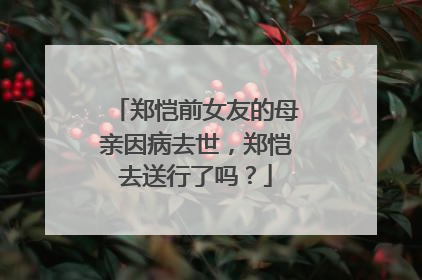 郑恺前女友的母亲因病去世，郑恺去送行了吗？